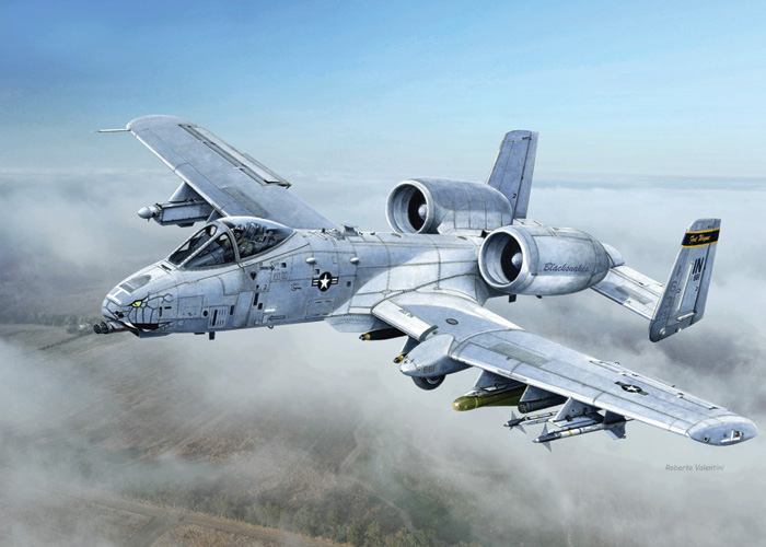 Byggmodell flygplan - A-10C Blacksnakes - 1:48 - IT